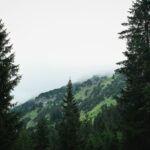 Thumbnail of post image 110